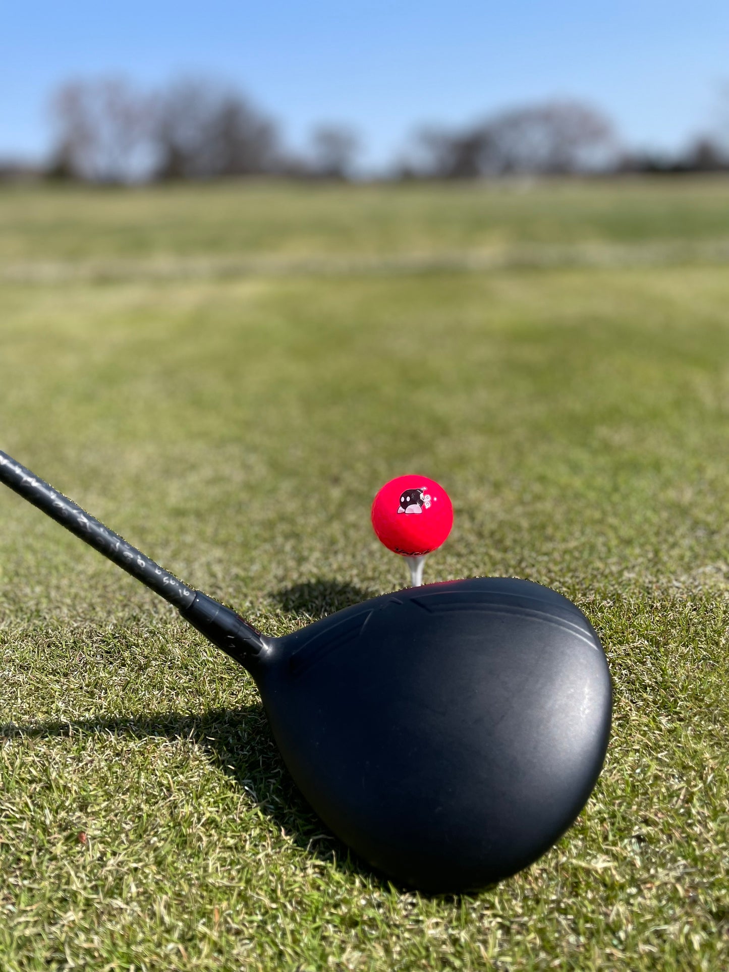 Sunday Bombs Golf Ball Set