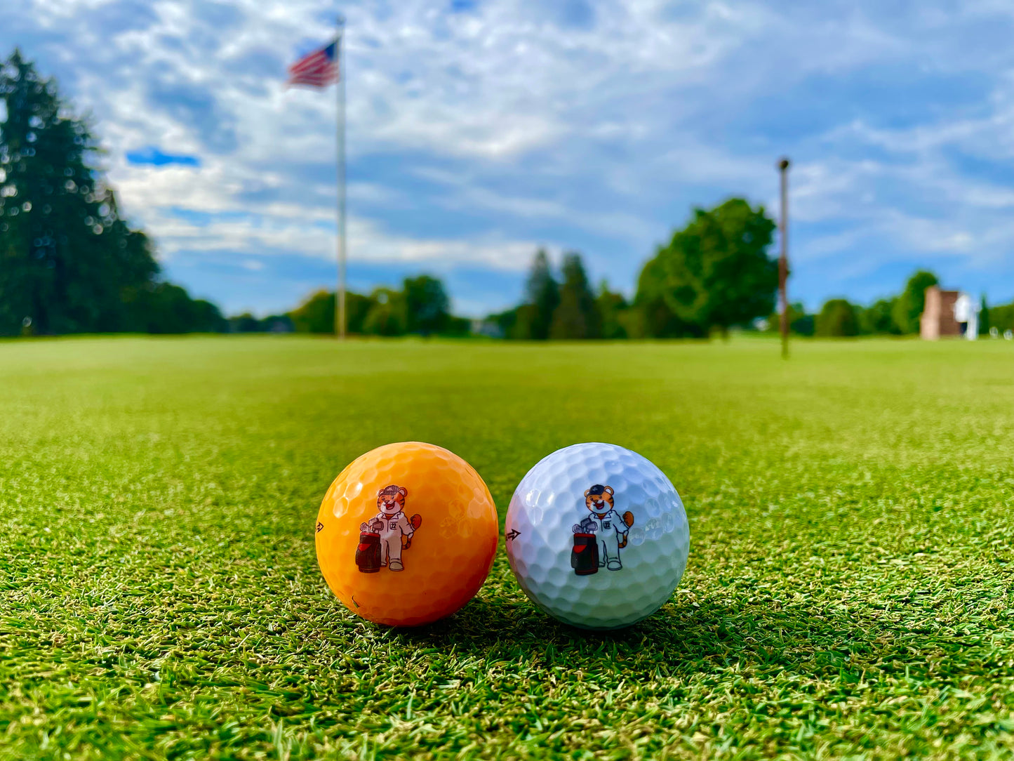 Caddi Tiger Golf Ball Set