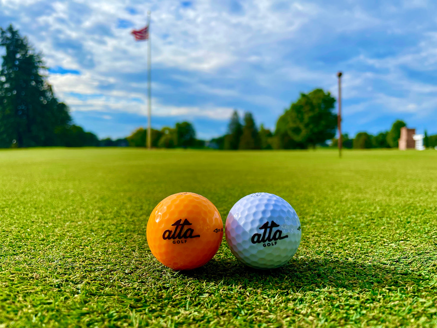 Caddi Tiger Golf Ball Set